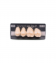 NEO LIGN P TOOTH POST 2G4 UPPER A1 4 pc