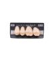 NEO LIGN P TOOTH POST 2G4 UPPER A1 4 pc ASST 24, 25, 26, 27