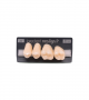 NEO LIGN P TOOTH POST 2G4 UPPER A2 4 pc ASST 24, 25, 26, 27