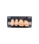 NEO LIGN P TOOTH POST 2G4 UPPER A3 4 pc
