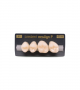 NEO LIGN P TOOTH POST 2G4 UPPER B1 4 pc ASST 24, 25, 26, 27