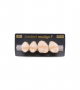 NEO LIGN P TOOTH POST 2G4 UPPER B1 4 pc