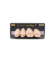 NEO LIGN P TOOTH POST 2G4 UPPER B2 4 pc