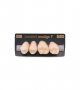 NEO LIGN P TOOTH POST 2G4 UPPER B2 4 pc ASST 24, 25, 26, 27