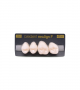 NEO LIGN P TOOTH POST 2G4 UPPER BL3 4 pc