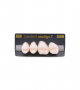 NEO LIGN P TOOTH POST 2G4 UPPER BL3 4 pc ASST 24, 25, 26, 27