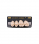 NEO LIGN P TOOTH POST 2G4 UPPER C1 4 pc