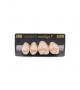 NEO LIGN P TOOTH POST 2G4 UPPER C1 4 pc ASST 24, 25, 26, 27