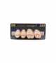 NEO LIGN P TOOTH POST 2G4 UPPER C2 4 pc