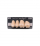 NEO LIGN P TOOTH POST 2G4 UPPER D3 4 pc