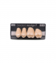 NEO LIGN P TOOTH POST 2G4 UPPER D3 4 pc ASST 24, 25, 26, 27