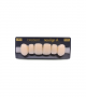 NEO LIGN A TOOTH ANT A44 UPPER A1 6 pc