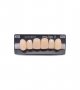 NEO LIGN A TOOTH ANT A44 UPPER A2 6 pc