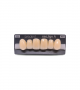 NEO LIGN A TOOTH ANT A44 UPPER A3 6 pc