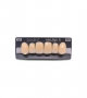 NEO LIGN A TOOTH ANT A44 UPPER A3 6 pc ASST 13, 12, 11, 21, 22, 23