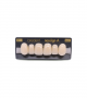 NEO LIGN A TOOTH ANT A44 UPPER B1 6 pc ASST 13, 12, 11, 21, 22, 23