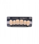 NEO LIGN A TOOTH ANT A44 UPPER B2 6 pc ASST 13, 12, 11, 21, 22, 23