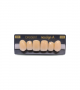 NEO LIGN A TOOTH ANT A44 UPPER B3 6 pc ASST 13, 12, 11, 21, 22, 23