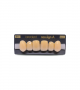 NEO LIGN A TOOTH ANT A44 UPPER B4 6 pc ASST 13, 12, 11, 21, 22, 23