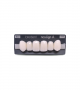 NEO LIGN A TOOTH ANT A44 UPPER BL3 6 pc ASST 13, 12, 11, 21, 22, 23
