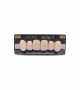 NEO LIGN A TOOTH ANT A44 UPPER C1 6 pc