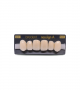 NEO LIGN A TOOTH ANT A44 UPPER C1 6 pc ASST 13, 12, 11, 21, 22, 23