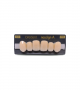 NEO LIGN A TOOTH ANT A44 UPPER C2 6 pc ASST 13, 12, 11, 21, 22, 23