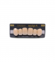 NEO LIGN A TOOTH ANT A44 UPPER C2 6 pc