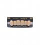 NEO LIGN A TOOTH ANT A44 UPPER C3 6 pc ASST 13, 12, 11, 21, 22, 23