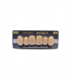 NEO LIGN A TOOTH ANT A44 UPPER C4 6 pc ASST 13, 12, 11, 21, 22, 23