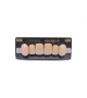 NEO LIGN A TOOTH ANT A44 UPPER D3 6 pc ASST 13, 12, 11, 21, 22, 23