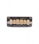 NEO LIGN A TOOTH ANT A44 UPPER D4 6 pc ASST 13, 12, 11, 21, 22, 23