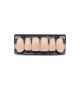 NEO LIGN A TOOTH ANT B51 UPPER A1 6 pc
