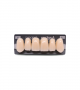 NEO LIGN A TOOTH ANT B51 UPPER A1 6 pc ASST 13, 12, 11, 21, 22, 23