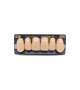NEO LIGN A TOOTH ANT B51 UPPER A2 6 pc