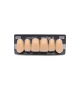 NEO LIGN A TOOTH ANT B51 UPPER A3 6 pc