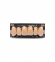 NEO LIGN A TOOTH ANT B51 UPPER A3.5 6 pc ASST 13, 12, 11, 21, 22, 23