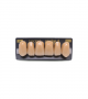 NEO LIGN A TOOTH ANT B51 UPPER A4 6 pc ASST 13, 12, 11, 21, 22, 23