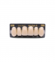 NEO LIGN A TOOTH ANT B51 UPPER B1 6 pc ASST 13, 12, 11, 21, 22, 23
