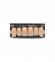 NEO LIGN A TOOTH ANT B51 UPPER B3 6 pc ASST 13, 12, 11, 21, 22, 23