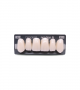 NEO LIGN A TOOTH ANT B51 UPPER BL3 6 pc