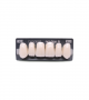 NEO LIGN A TOOTH ANT B51 UPPER BL3 6 pc ASST 13, 12, 11, 21, 22, 23