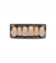 NEO LIGN A TOOTH ANT B51 UPPER C2 6 pc ASST 13, 12, 11, 21, 22, 23