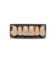 NEO LIGN A TOOTH ANT B51 UPPER C3 6 pc