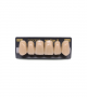 NEO LIGN A TOOTH ANT B51 UPPER C3 6 pc ASST 13, 12, 11, 21, 22, 23