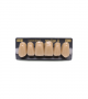 NEO LIGN A TOOTH ANT B51 UPPER C4 6 pc ASST 13, 12, 11, 21, 22, 23