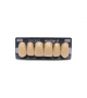 NEO LIGN A TOOTH ANT B51 UPPER D4 6 pc ASST 13, 12, 11, 21, 22, 23