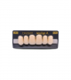 NEO LIGN A TOOTH ANT C43 UPPER A1 6 pc