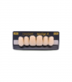 NEO LIGN A TOOTH ANT C43 UPPER A1 6 pc ASST 13, 12, 11, 21, 22, 23