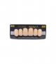 NEO LIGN A TOOTH ANT C43 UPPER A2 6 pc ASST 13, 12, 11, 21, 22, 23